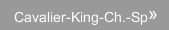 Cavalier-King-Ch.-Sp