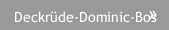 Deckrüde-Dominic-Bos