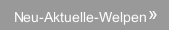 Neu-Aktuelle-Welpen