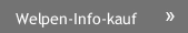 Welpen-Info-kauf