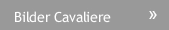Bilder Cavaliere