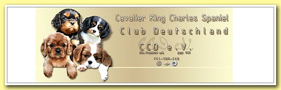 banner_ccd.gif
